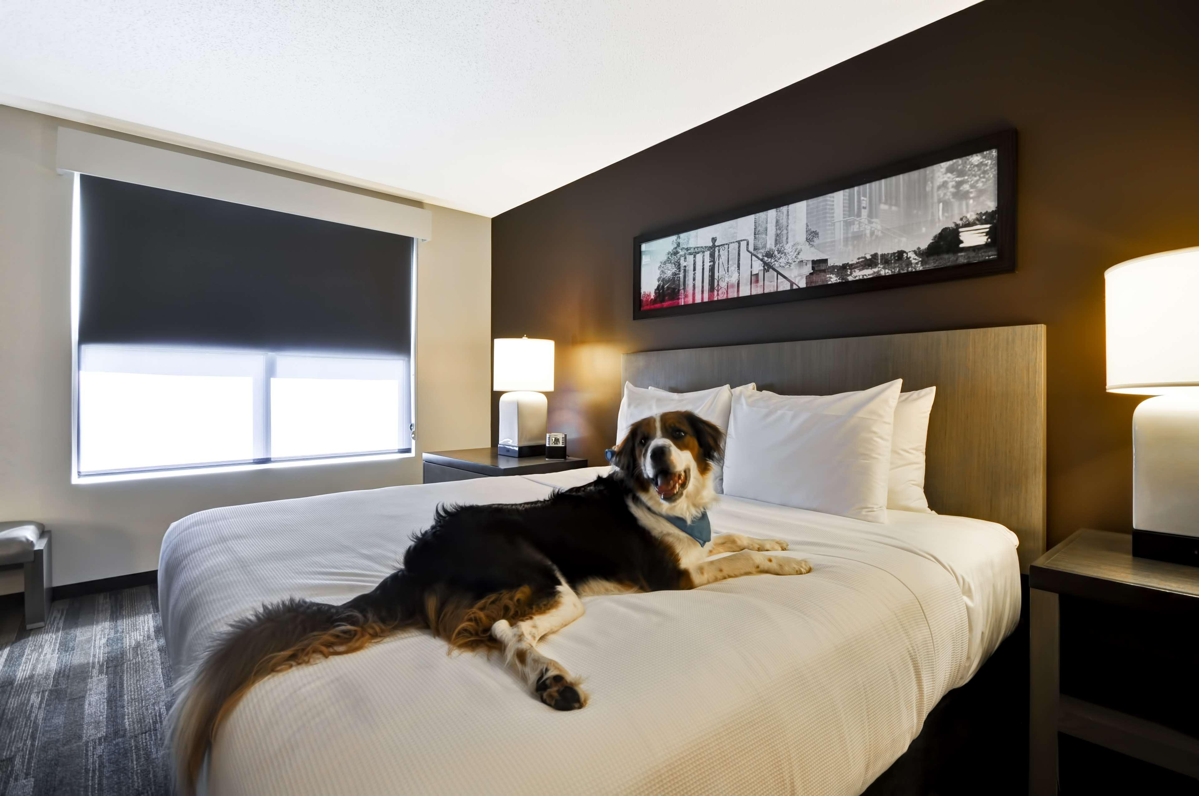 Hyatt House Atlanta Cobb Galleria Smyrna Buitenkant foto