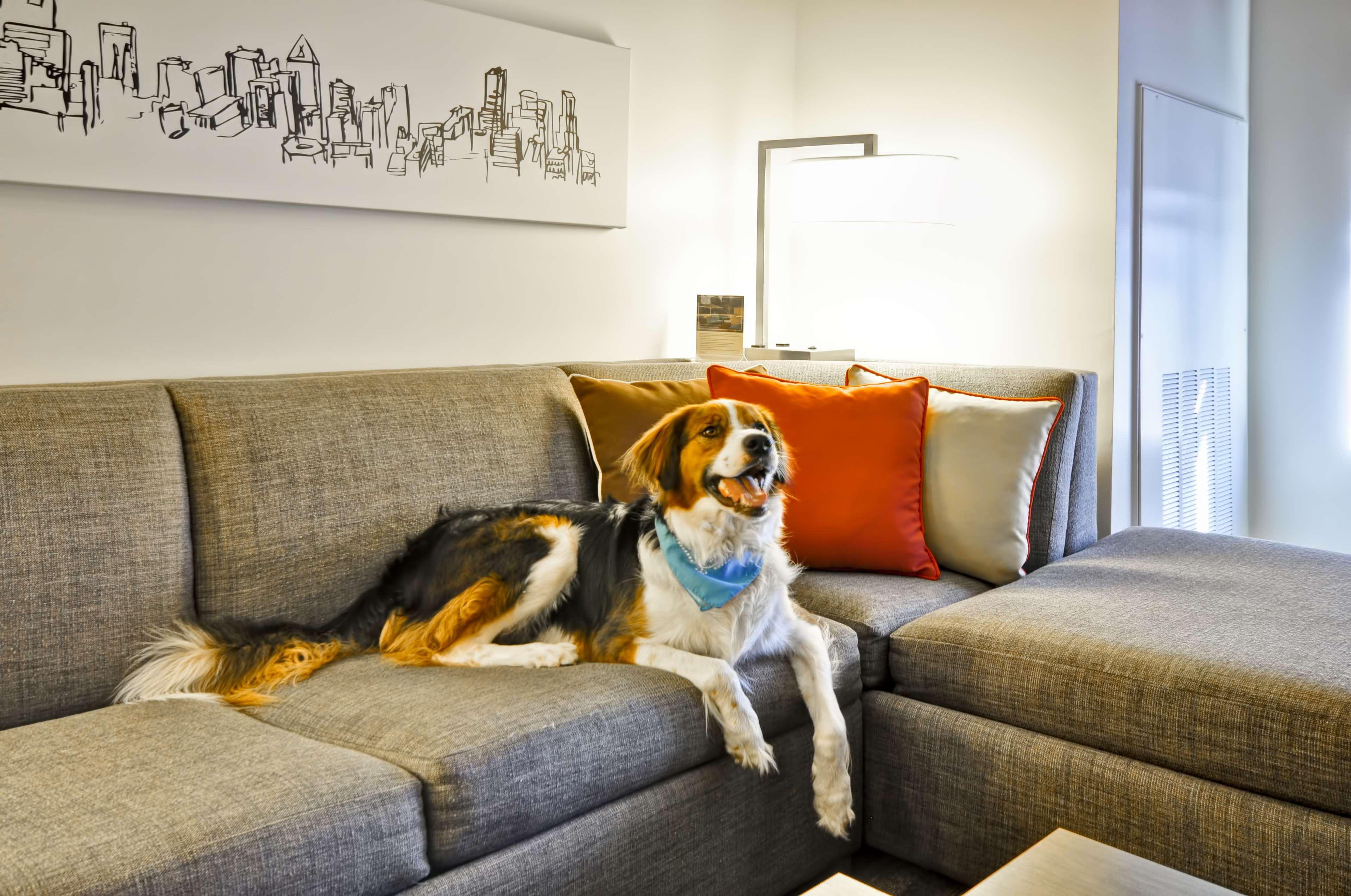 Hyatt House Atlanta Cobb Galleria Smyrna Buitenkant foto