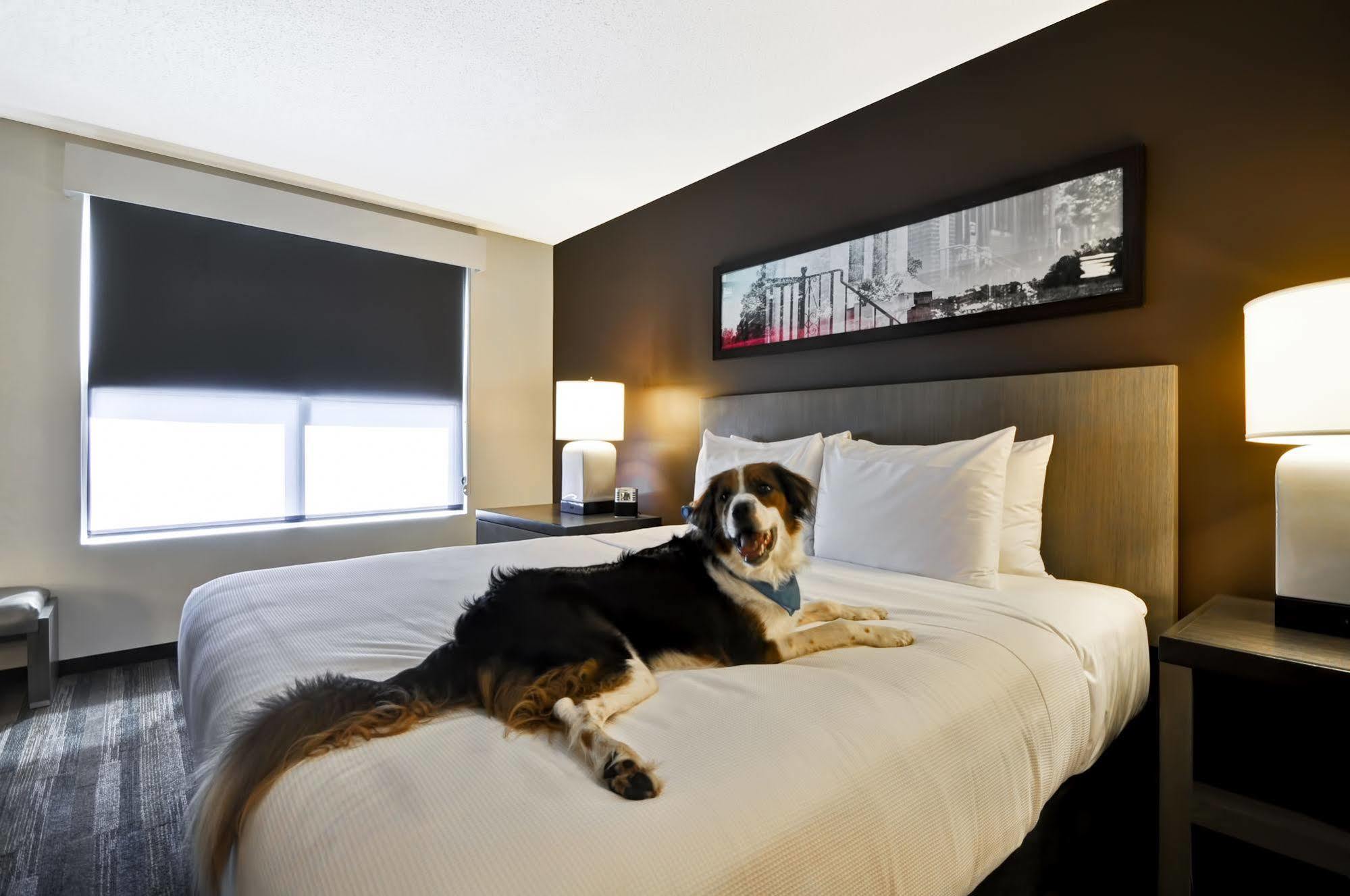 Hyatt House Atlanta Cobb Galleria Smyrna Buitenkant foto
